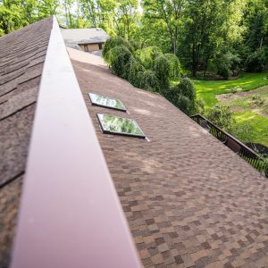 roof replacement skylights