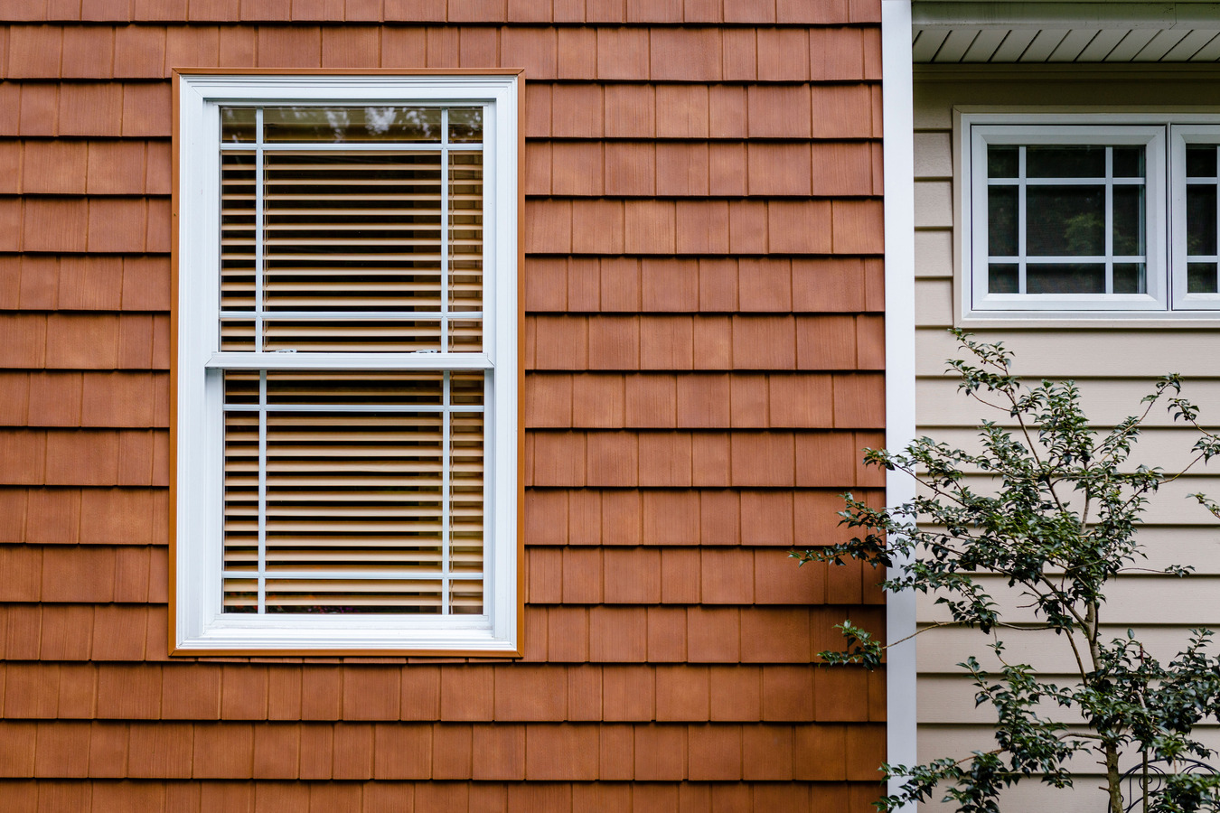 Home Maintenance Series: Window Screens