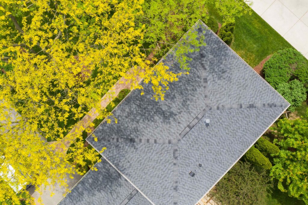 A roof flanked by fall leaves.