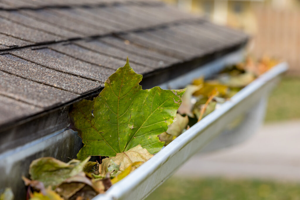 Gutter filled with leaves.